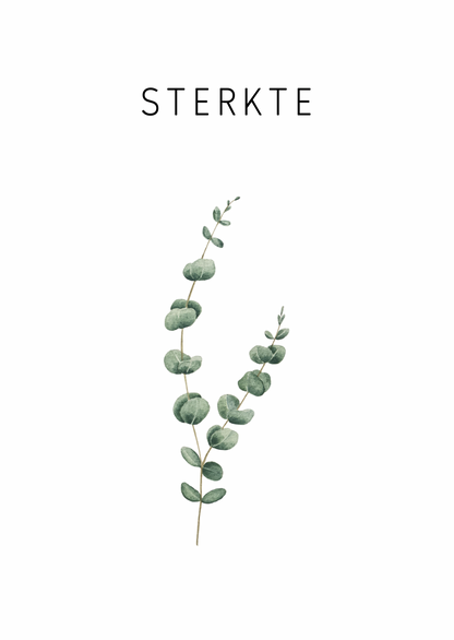 Kaart sterkte eucalyptus